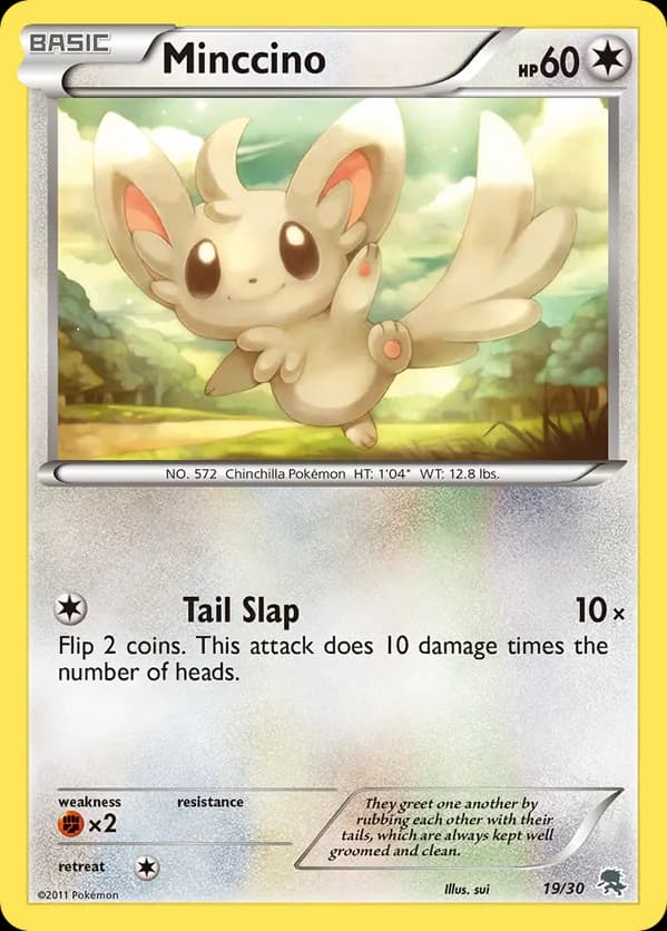 Minccino (#19)