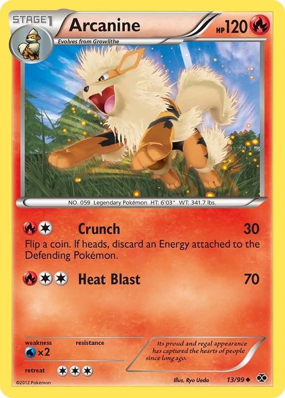 Arcanine (13)