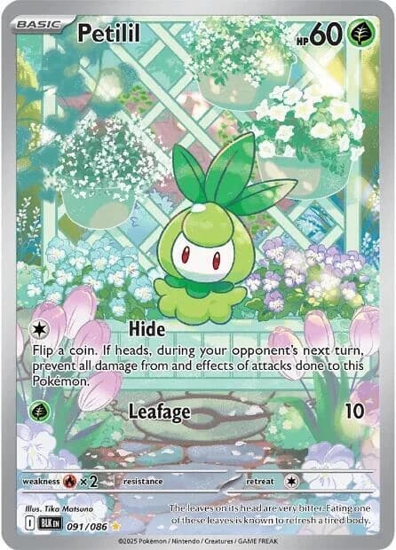 Petilil - 091/086