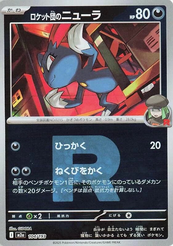 Team Rocket's Sneasel (Team Rocket Pattern)