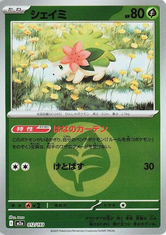 Shaymin (Energy Symbol Pattern)