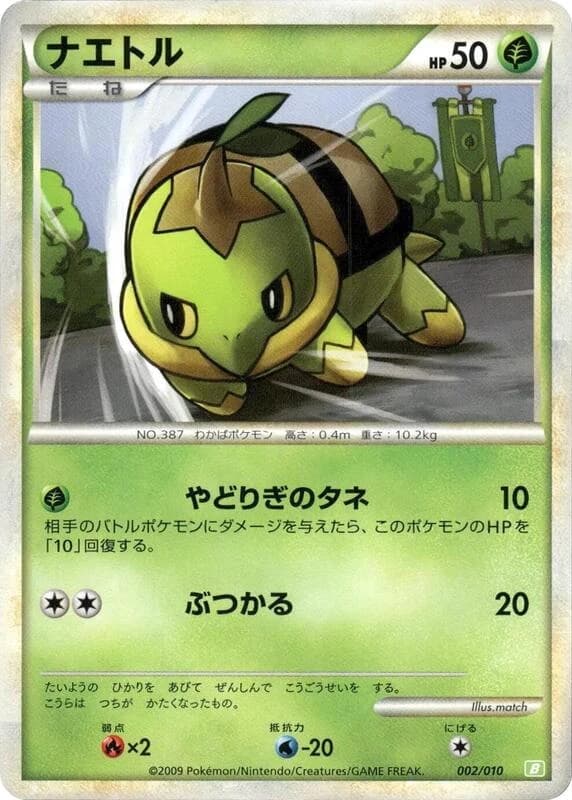 Turtwig