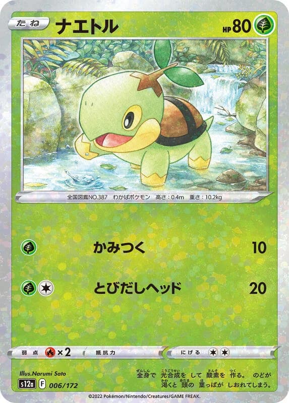 Turtwig - 006/172 (Mirror Holofoil)