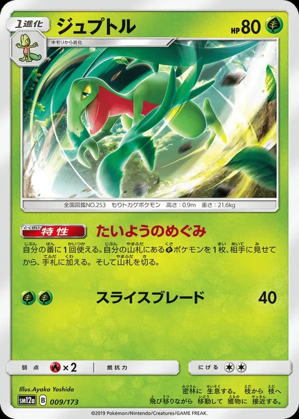 Grovyle (Mirror Holofoil)