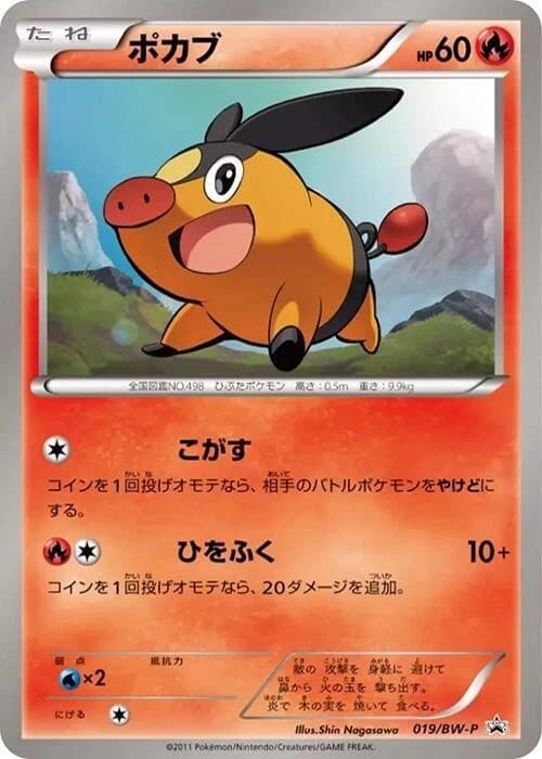Tepig - 019/BW-P