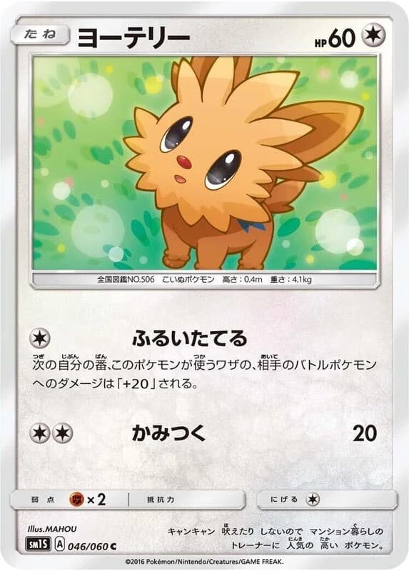 Lillipup