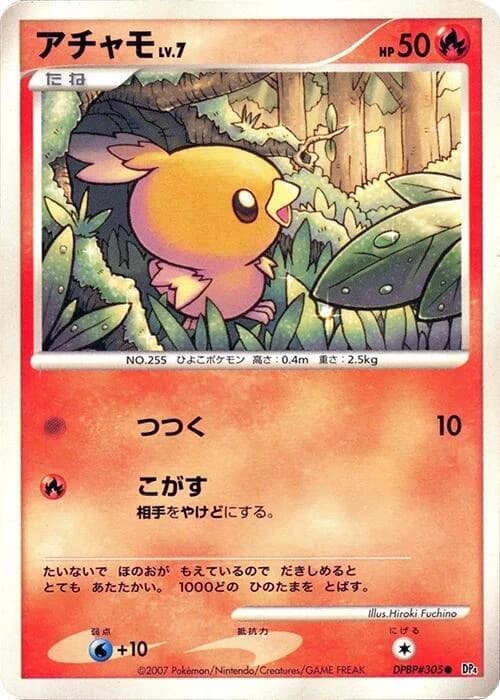 Torchic